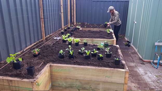 Vertical vegetable garden installed at North Glenelg Adelaide